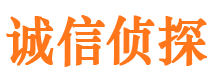 留坝侦探社